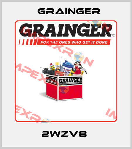 2WZV8  Grainger