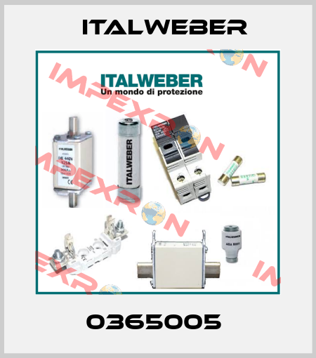 0365005  Italweber