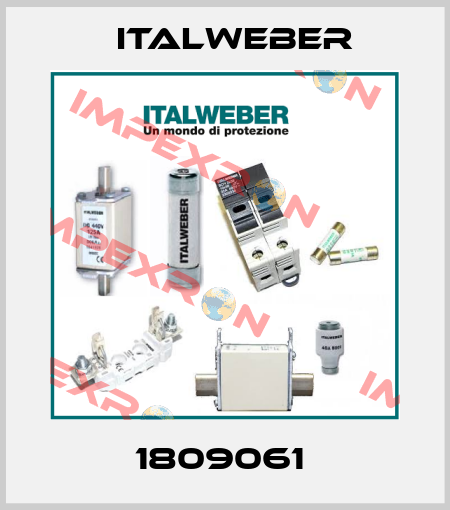 1809061  Italweber