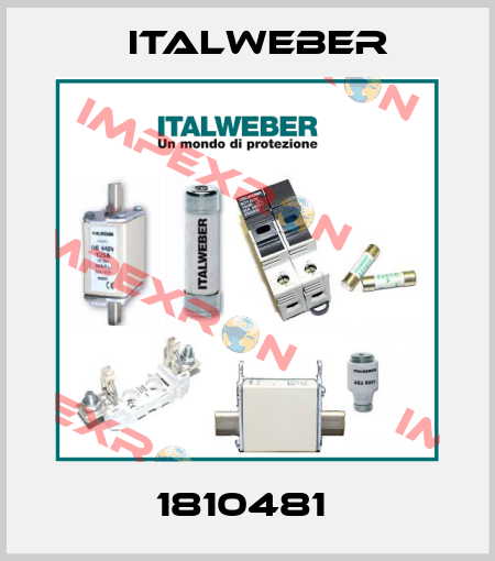 1810481  Italweber