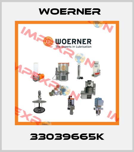 33039665K Woerner
