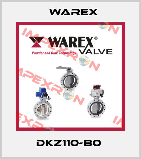 DKZ110-80  Warex