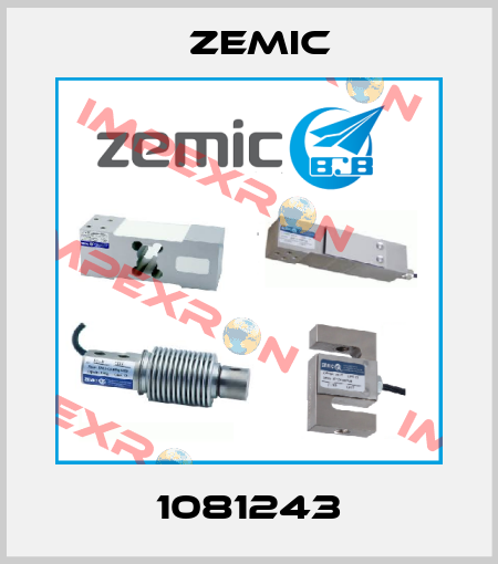 1081243 ZEMIC