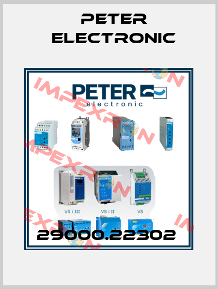 29000.22302  Peter Electronic