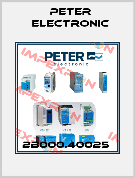2B000.40025  Peter Electronic