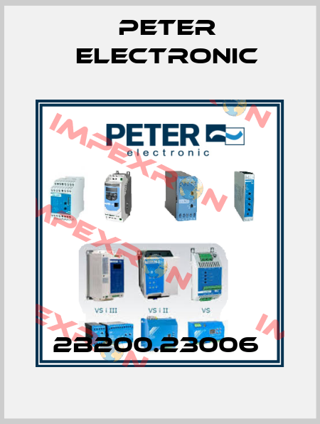 2B200.23006  Peter Electronic