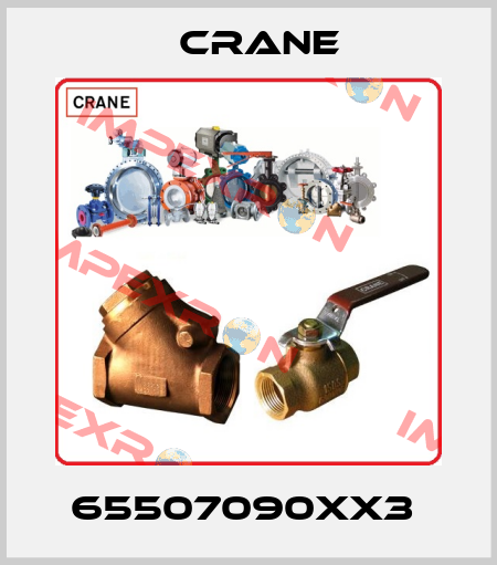65507090XX3  Crane