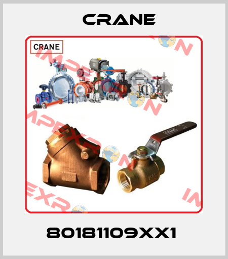 80181109XX1  Crane