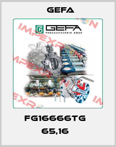 FG16666TG   65,16   Gefa