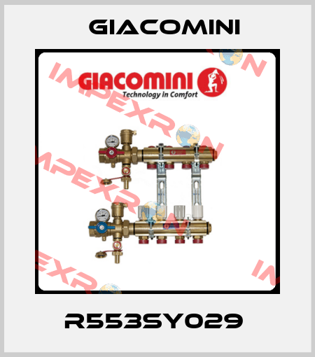 R553SY029  Giacomini