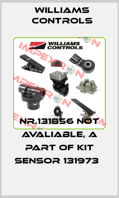 Nr.131856 not avaliable, a part of KIT sensor 131973   Williams Controls