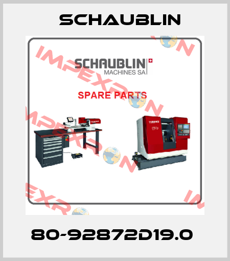 80-92872D19.0  Schaublin