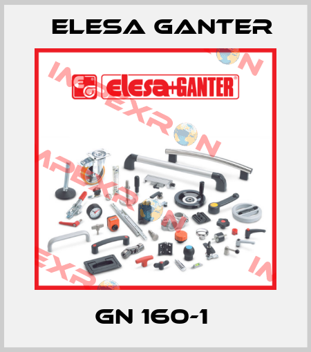 GN 160-1  Elesa Ganter