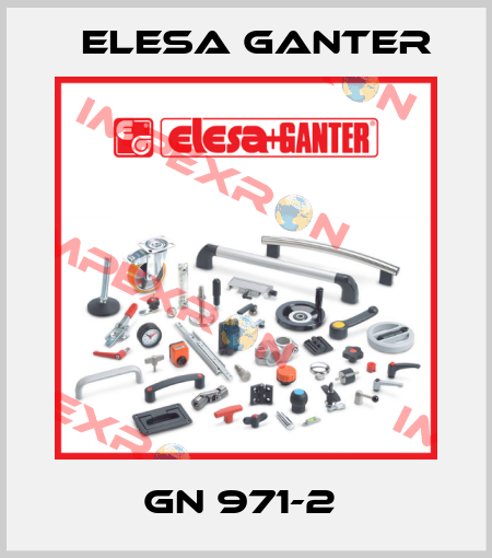 GN 971-2  Elesa Ganter