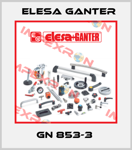 GN 853-3  Elesa Ganter
