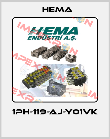 1PH-119-AJ-Y01VK  Hema
