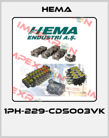 1PH-229-CDSO03VK  Hema