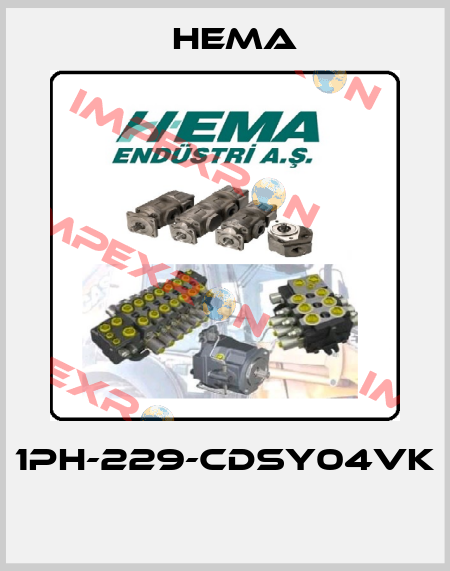 1PH-229-CDSY04VK  Hema