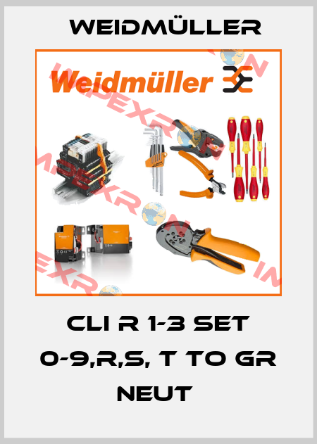 CLI R 1-3 SET 0-9,R,S, T TO GR NEUT  Weidmüller