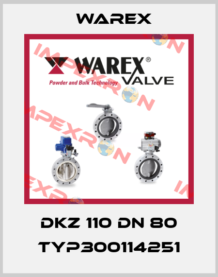DKZ 110 DN 80 TYP300114251 Warex