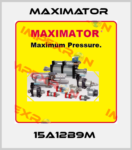 15A12B9M  Maximator