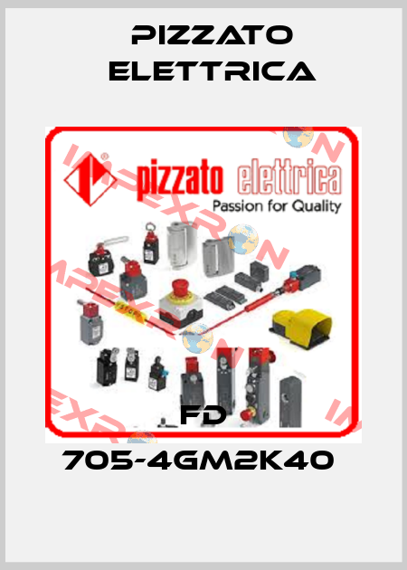 FD 705-4GM2K40  Pizzato Elettrica