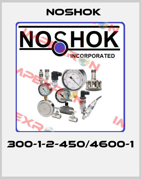 300-1-2-450/4600-1  Noshok