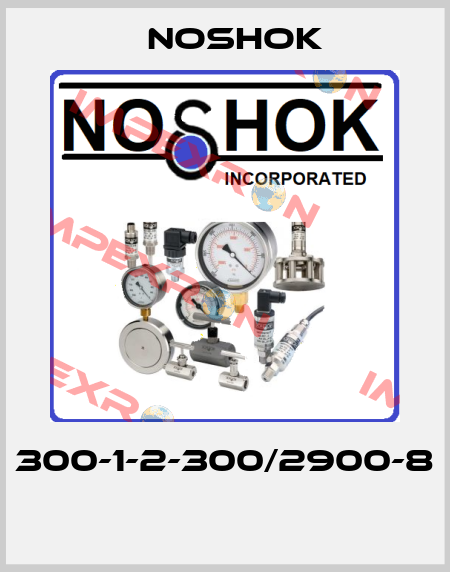 300-1-2-300/2900-8  Noshok