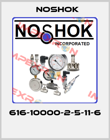 616-10000-2-5-11-6  Noshok