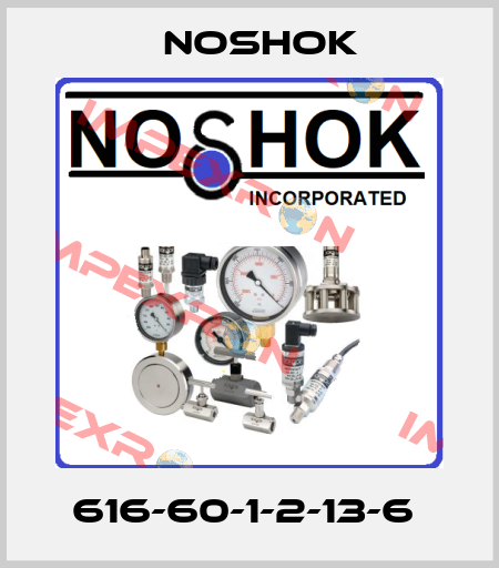 616-60-1-2-13-6  Noshok