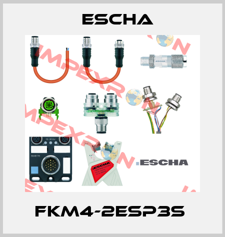 FKM4-2ESP3S  Escha