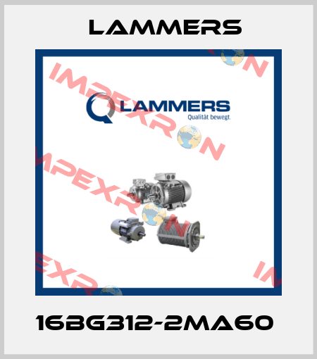 16BG312-2MA60  Lammers