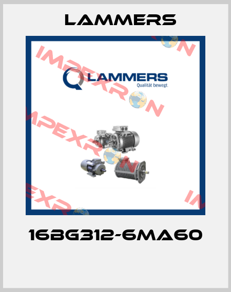 16BG312-6MA60  Lammers