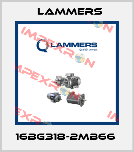 16BG318-2MB66  Lammers