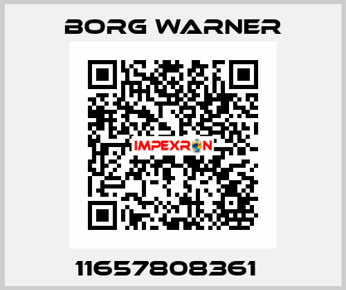 11657808361   Borg Warner