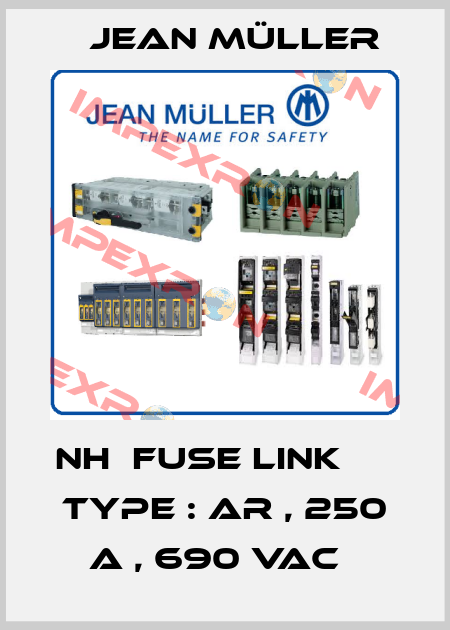  NH  FUSE LINK       TYPE : AR , 250 A , 690 VAC   Jean Müller