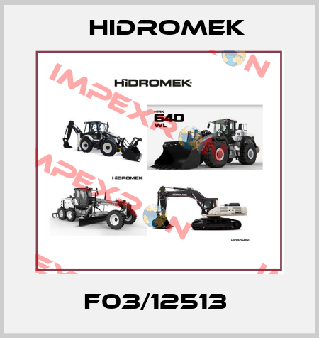 F03/12513  Hidromek