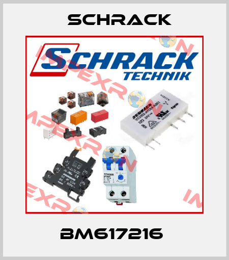 BM617216  Schrack