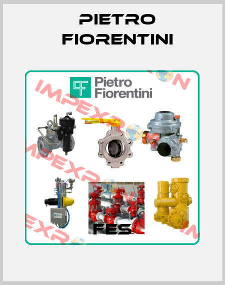 FES Pietro Fiorentini