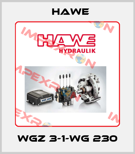 WGZ 3-1-WG 230 Hawe
