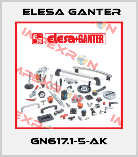 GN617.1-5-AK Elesa Ganter