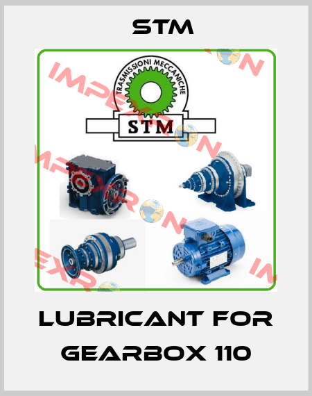 Lubricant for Gearbox 110 Stm
