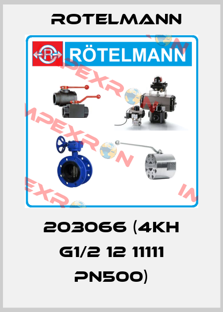 203066 (4KH G1/2 12 11111 PN500) Rotelmann