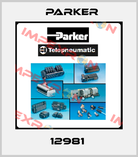 12981  Parker