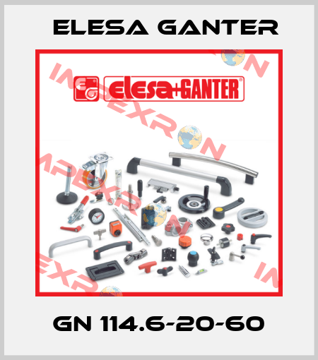 GN 114.6-20-60 Elesa Ganter