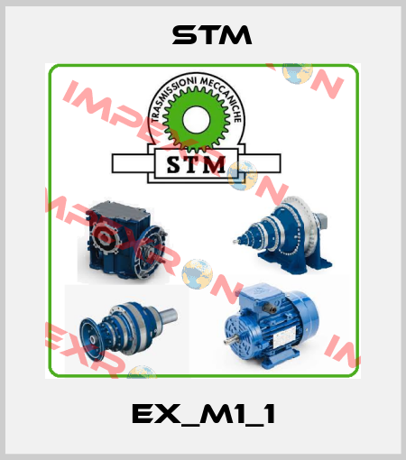 EX_M1_1 Stm