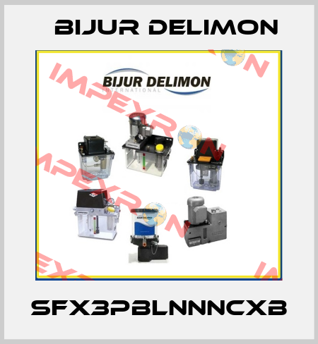 SFX3PBLNNNCXB Bijur Delimon