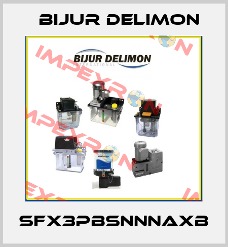 SFX3PBSNNNAXB Bijur Delimon