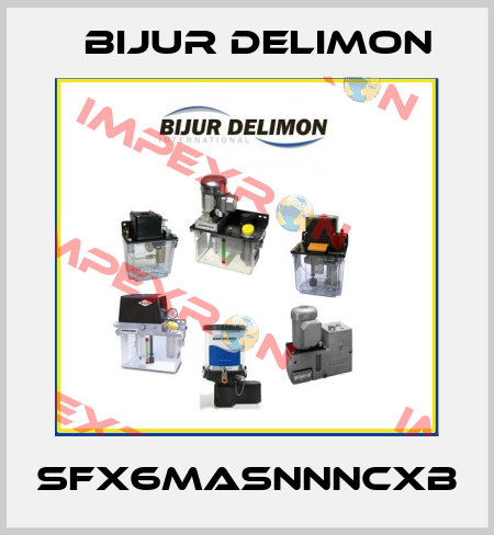 SFX6MASNNNCXB Bijur Delimon