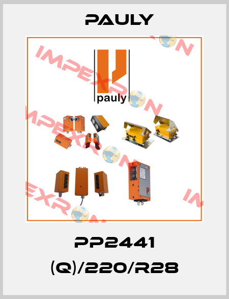 PP2441 (Q)/220/R28 Pauly
